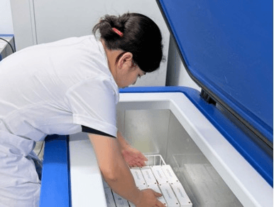 WHO hỗ trợ vaccine phòng dại cứu người tại các tỉnh có nguy cơ cao ở Việt Nam