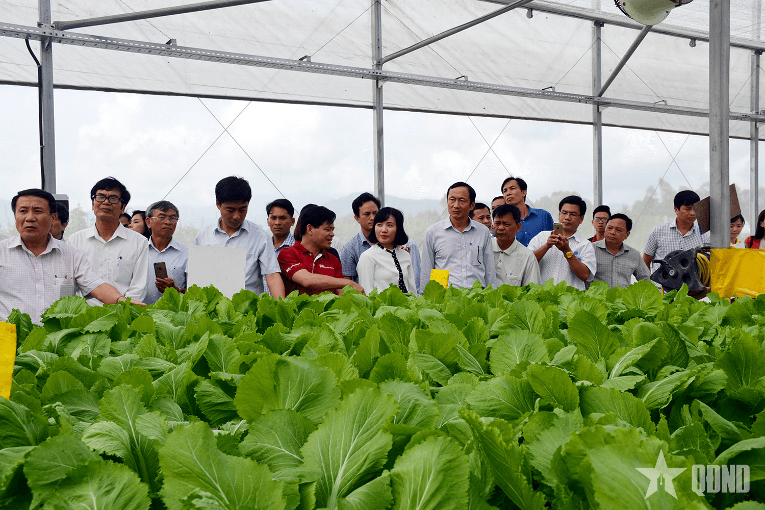 Giảm phát thải trong trồng trọt để bảo vệ môi trường, xây dựng nền sản xuất xanh