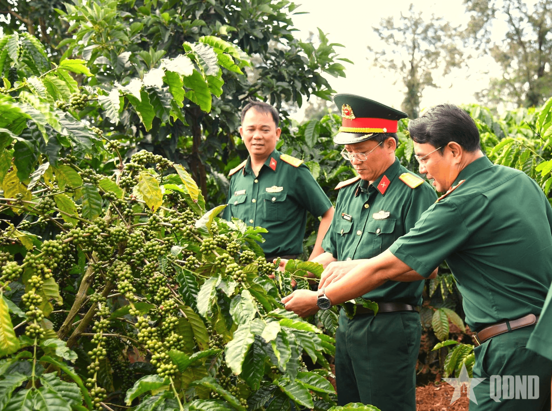 Điểm sáng doanh nghiệp Quân đội trên địa bàn chiến lược Tây Nguyên
