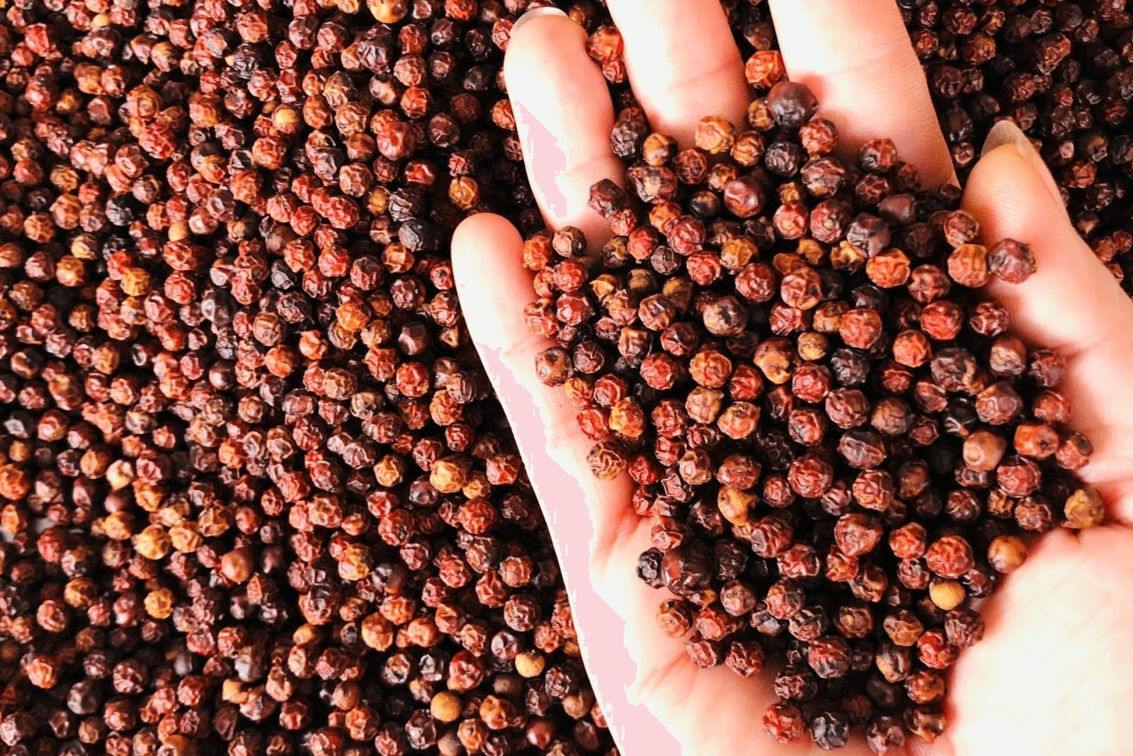 Bản tin nông sản hôm nay (27-10): Giá hồ tiêu ổn định