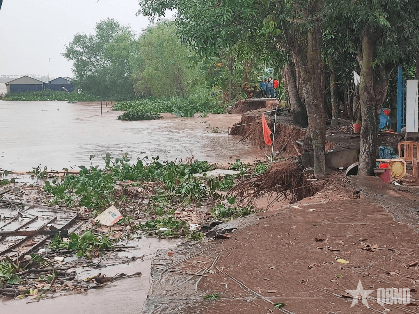 Xã Mỹ Hòa Hưng (tỉnh An Giang) tiếp tục sạt lở bờ sông