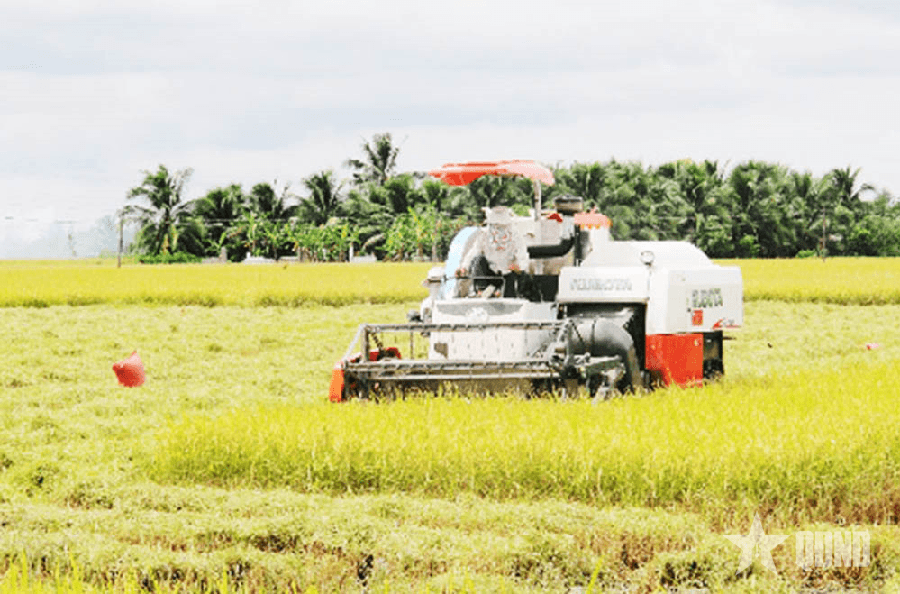 Đồng Nai: Hành động quyết liệt, sáng tạo, cụ thể để hiện thực hóa nghị quyết