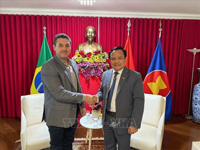 Việt Nam và Brazil thúc đẩy hợp tác đa lĩnh vực

​