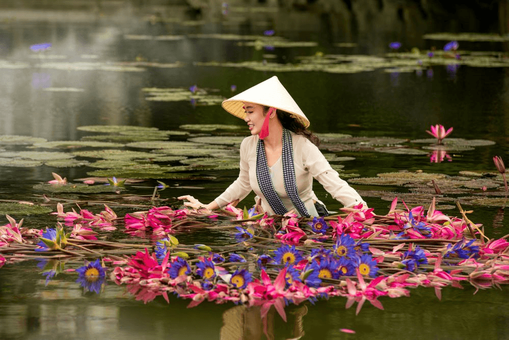 Mùa hoa súng ở Ninh Bình