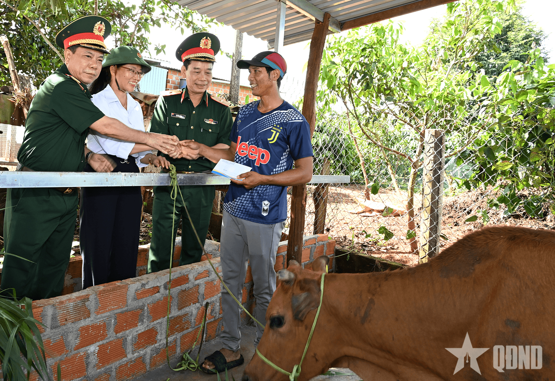 Lữ đoàn Pháo phòng không 234 (Quân đoàn 34) trao 200 con bò giống cho nhân dân