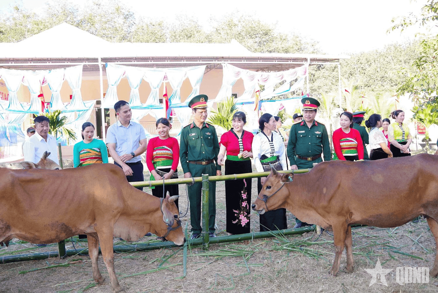 Quảng Ngãi: Đoàn Kinh tế - Quốc phòng 732 bàn giao bò giống cho hộ nghèo, cận nghèo