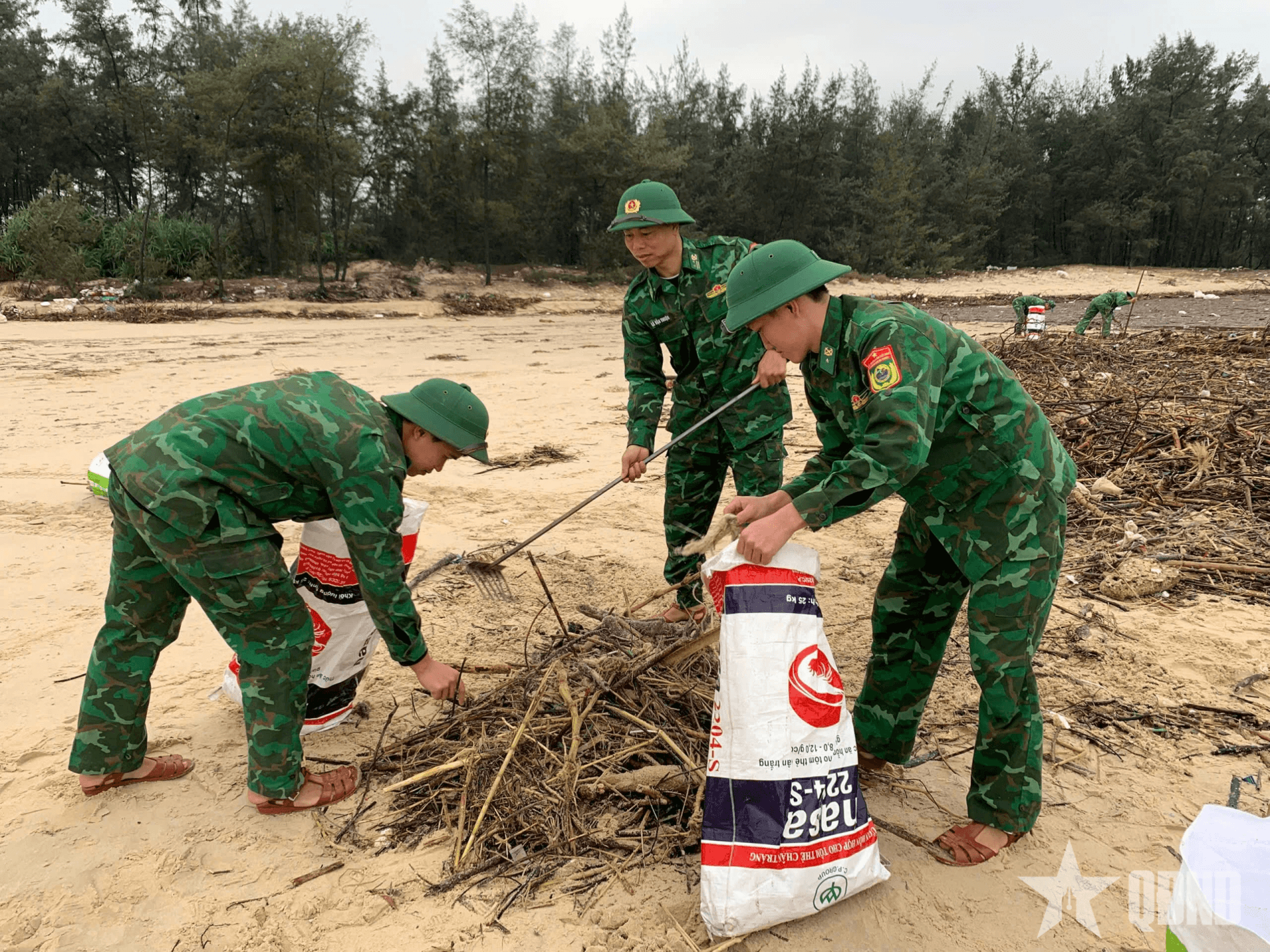 Đồn Biên phòng Triệu Vân ra quân phối hợp làm sạch biển