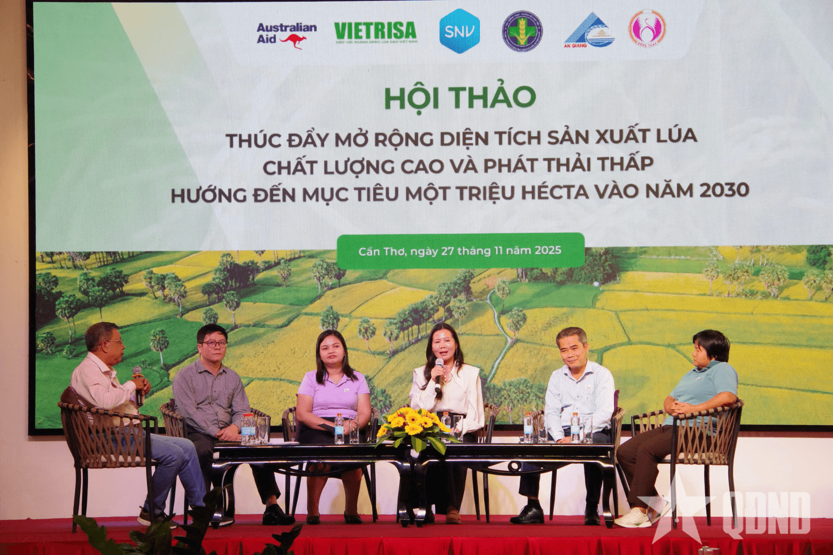 Cần Thơ: Thúc đẩy mở rộng diện tích lúa chất lượng cao, phát thải thấp