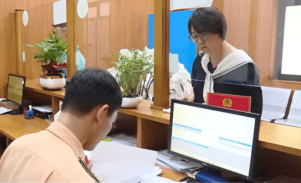 Làm sạch dữ liệu đăng ký xe, giấy phép lái xe