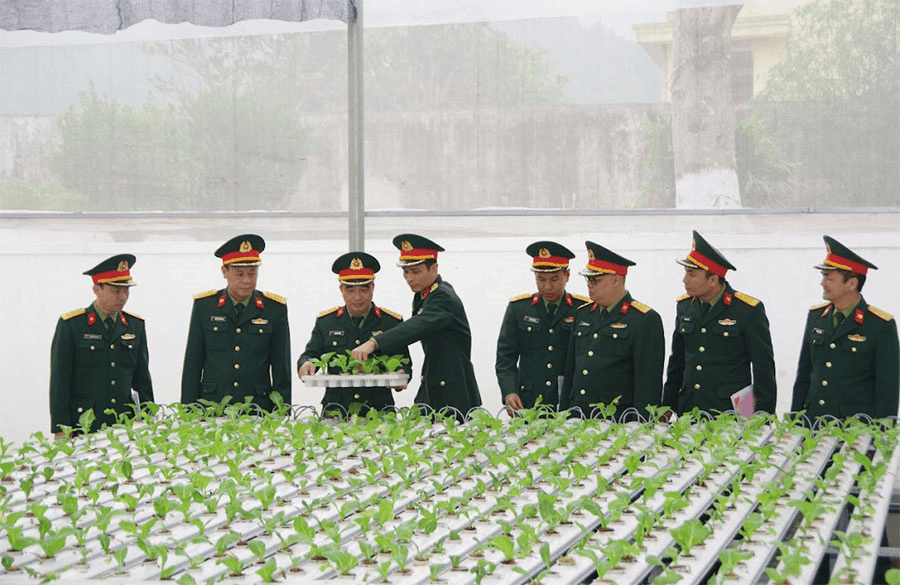 Quân khu 4: Kiểm tra, đánh giá kết quả Hội thi “Đơn vị tăng gia sản xuất giỏi” năm 2025 tại Lữ đoàn 414
