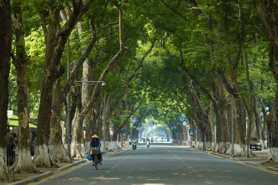 Thời tiết hôm nay (9-12): Miền Bắc nắng ấm, Nam Bộ có mưa rào và dông
