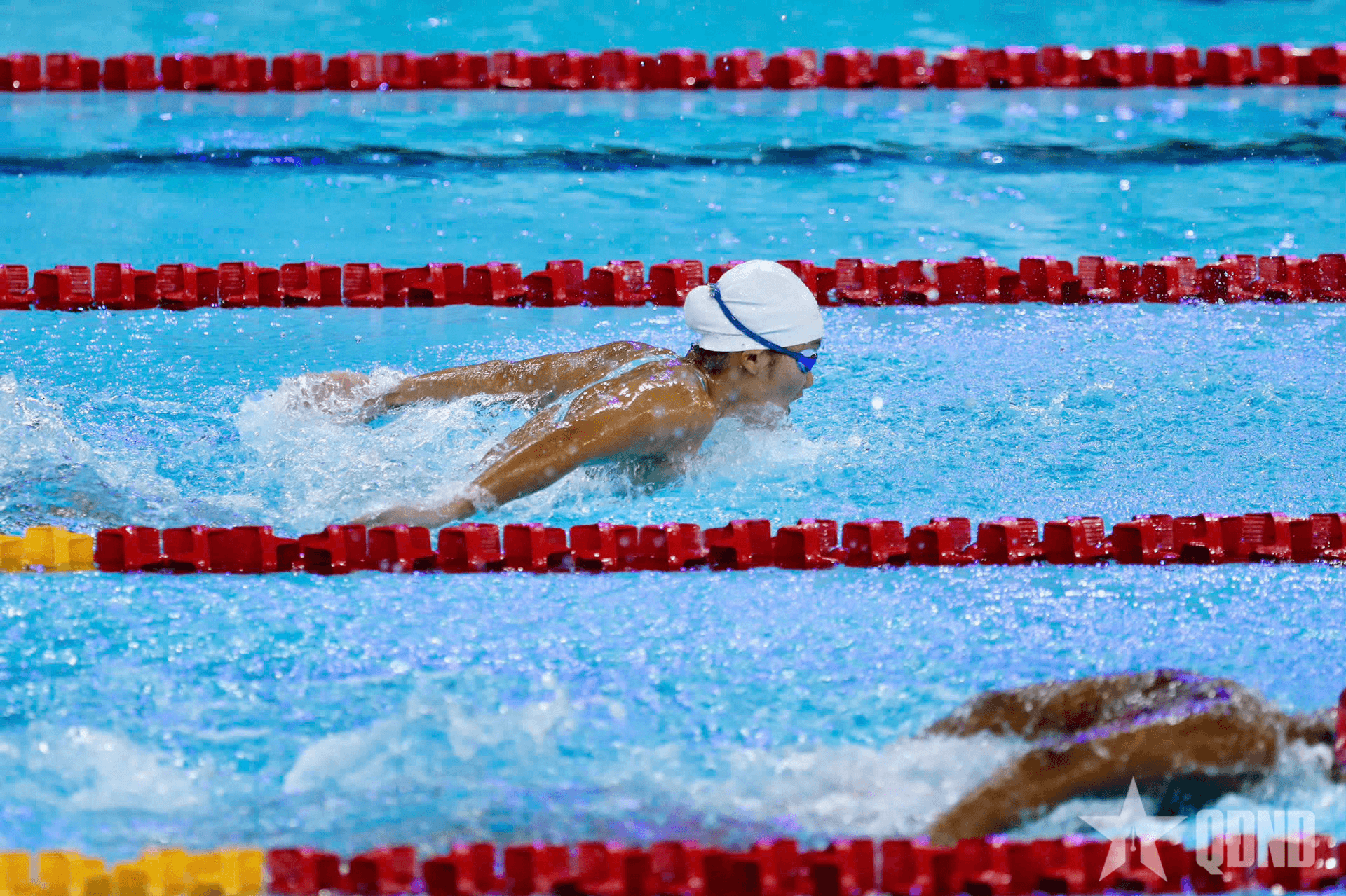 Kết quả SEA Games 33 sáng 11-12: Nhiều kình ngư Việt Nam vào chung kết