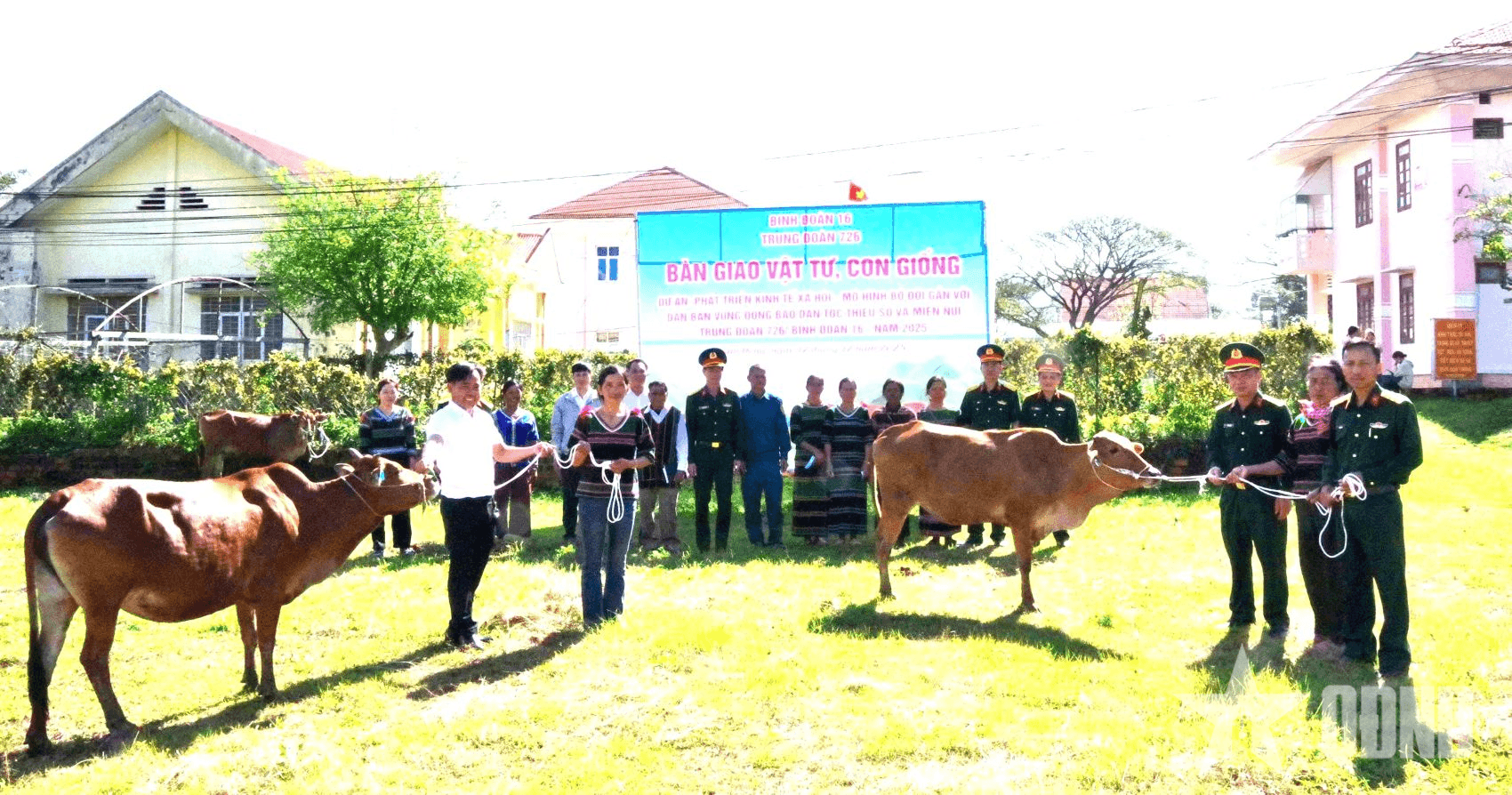 Trung đoàn 726 trao bò giống hỗ trợ 142 hộ nghèo, cận nghèo