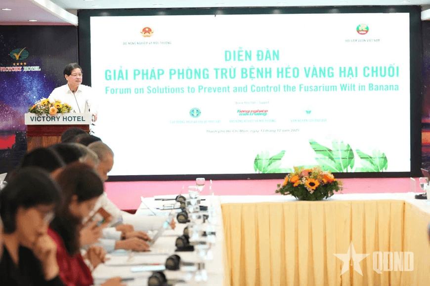 Tìm giải pháp bảo vệ, phát triển chuối - cây ăn trái chủ lực của Việt Nam