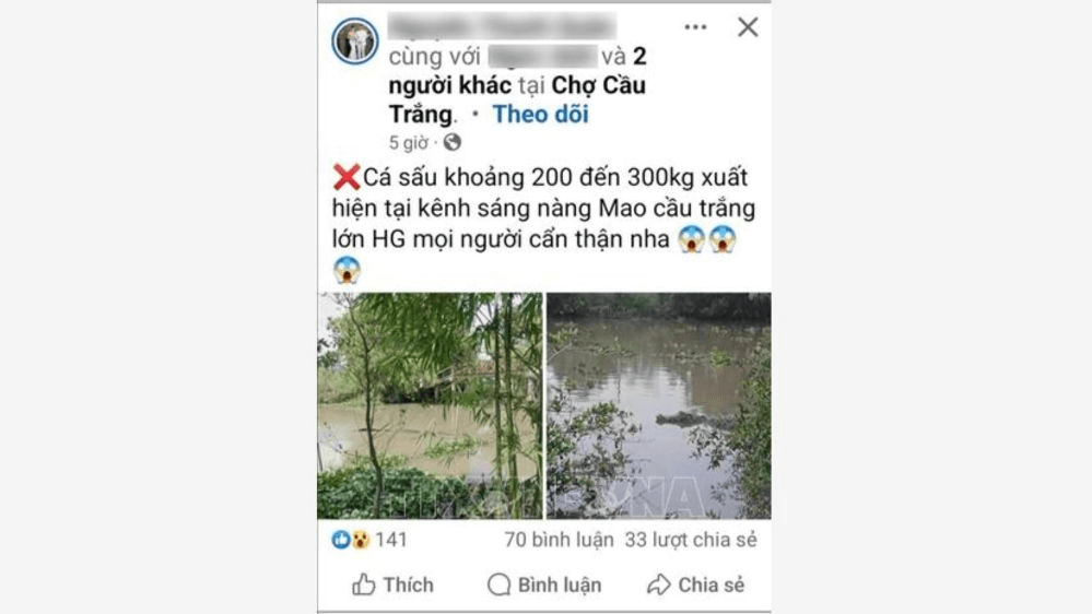 Triệu tập thanh niên đưa tin bịa đặt về cá sấu "khổng lồ"