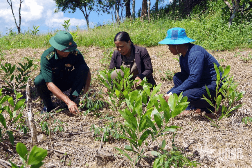 Gieo mầm bình yên, no ấm nơi biên cương