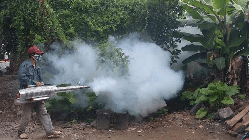 Hà Nội: Tăng cường công tác phòng, chống các loại dịch bệnh