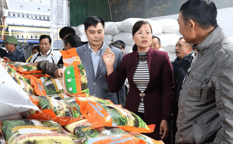 Hà Nội lập 3 đoàn liên ngành kiểm tra an toàn thực phẩm dịp Tết 2026