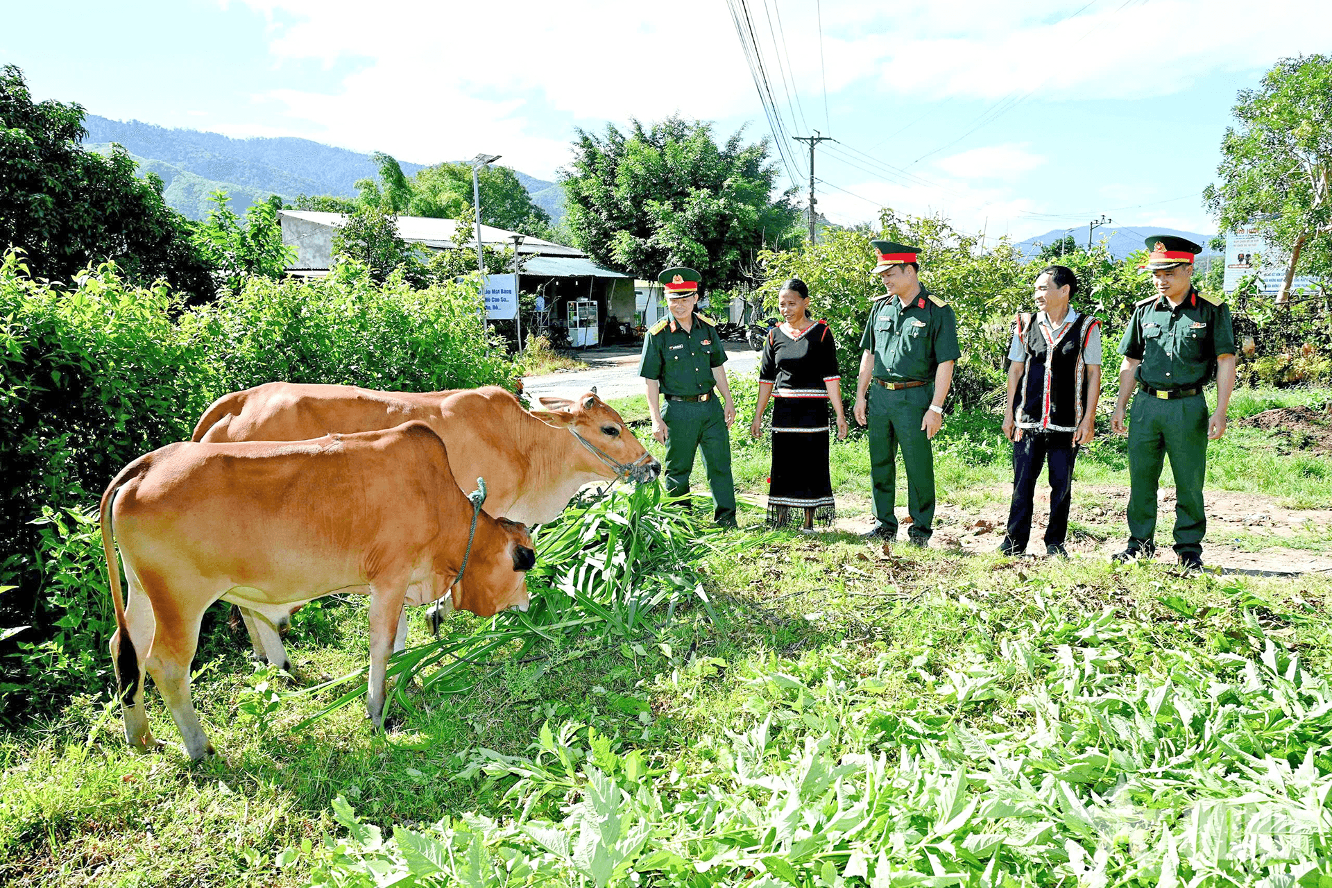 Đoàn Kinh tế - Quốc phòng 78 (Binh đoàn 15): “Khoan thư sức dân” ở vùng biên giới Quảng Ngãi