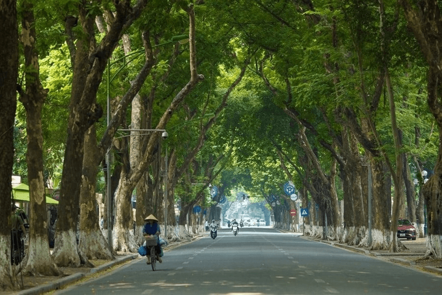Thời tiết hôm nay (19-12): Bắc Bộ nắng ấm, Trung Bộ mưa dông