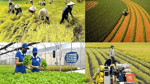 Những luật, nghị quyết nào có hiệu lực từ ngày 1-1-2026?