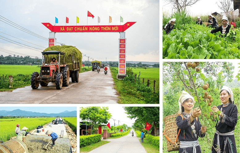 Ban hành Bộ tiêu chí quốc gia về nông thôn mới giai đoạn 2026-2030