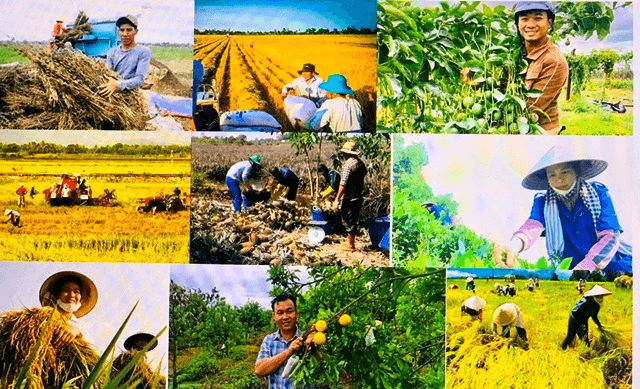 Chuyển đổi tư duy phát triển nông nghiệp