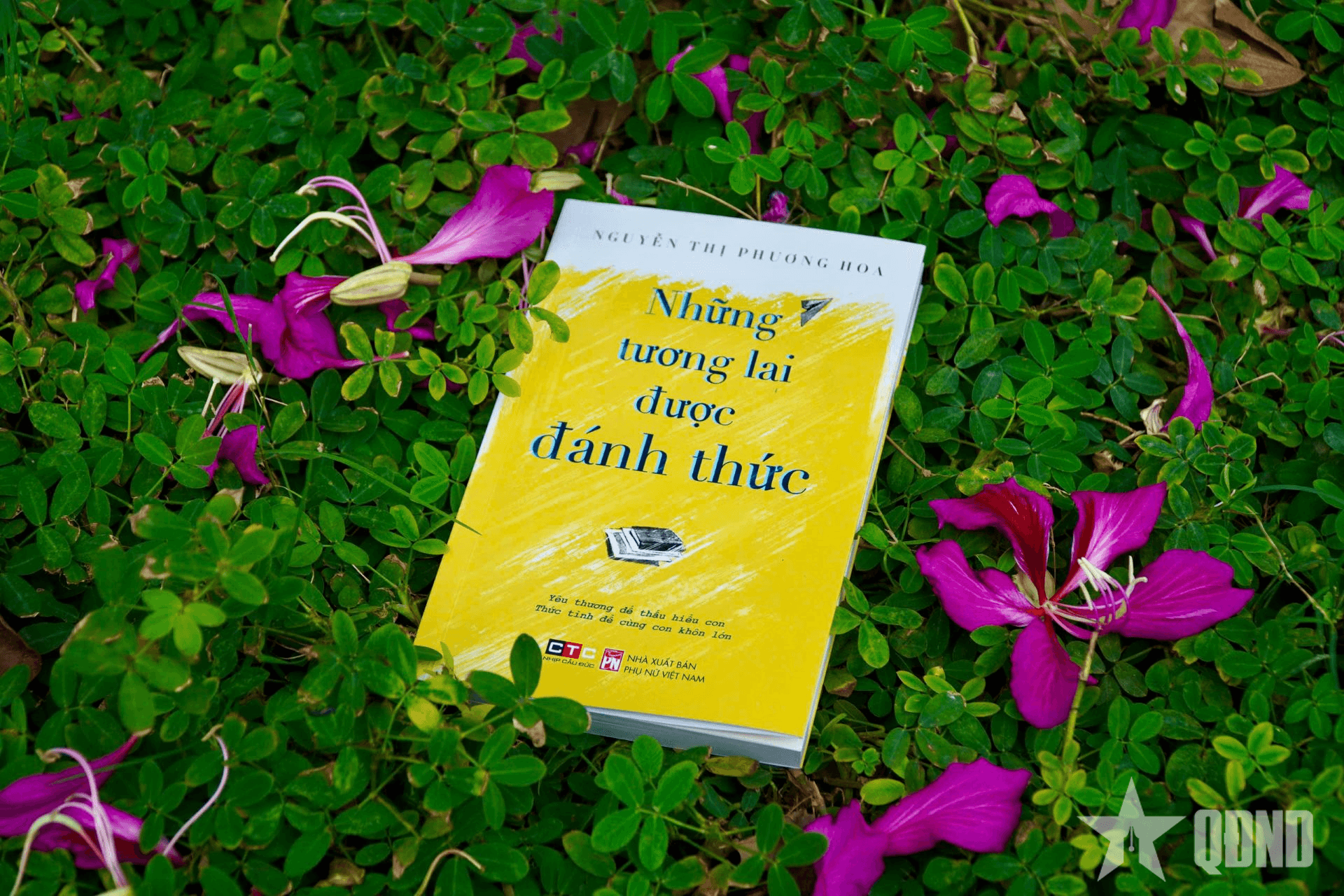 Đồng hành cùng con phát triển