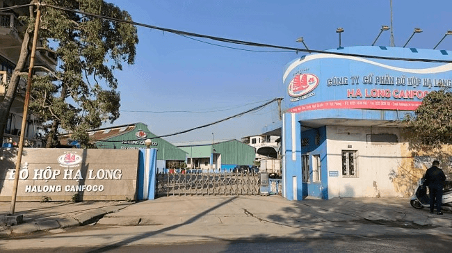 Bắt khẩn cấp Tổng giám đốc Công ty Cổ phần đồ hộp Hạ Long