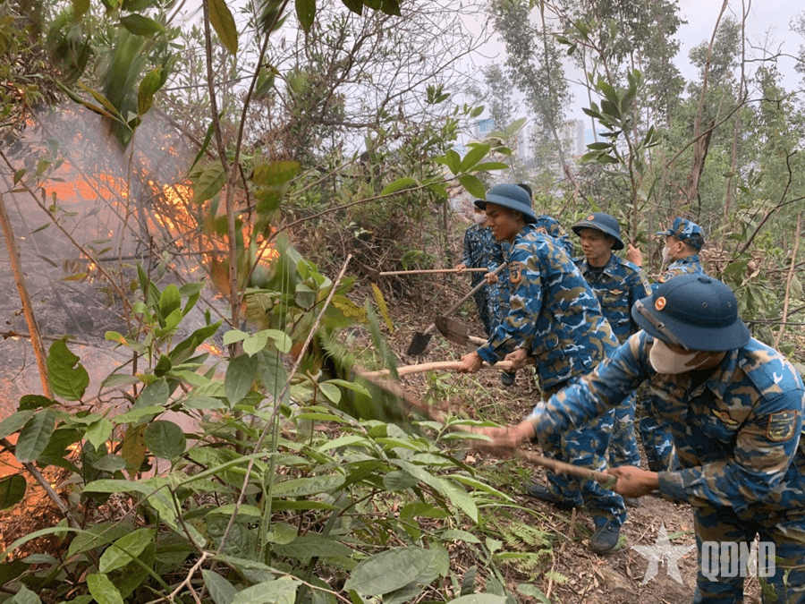 Bộ đội Sư đoàn 363 kịp thời dập tắt cháy rừng trên đồi Cột cờ