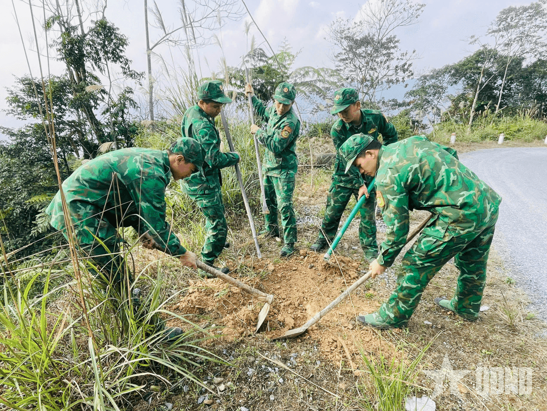 Trồng mới 4.800 cây xanh tại xã biên giới Tùng Vài, Tuyên Quang