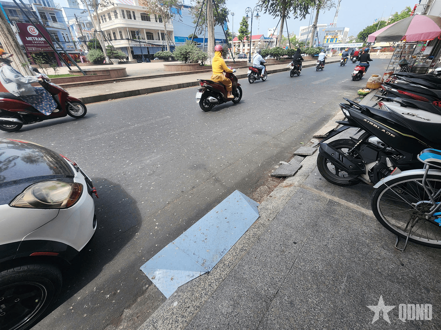An Giang: Tái diễn tình trạng ô nhiễm môi trường do chim én tại Công viên Nguyễn Trung Trực