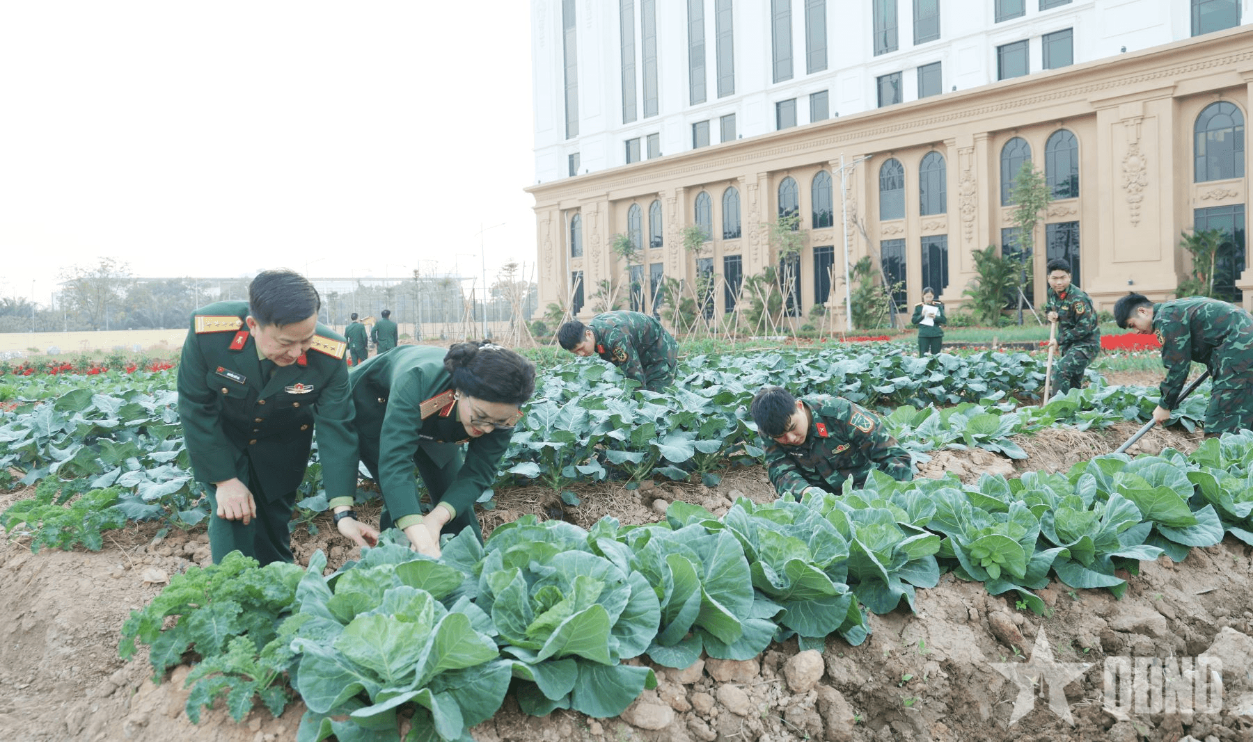 Cơ quan Tổng cục Công nghiệp quốc phòng xây dựng doanh trại chính quy, xanh, sạch, đẹp