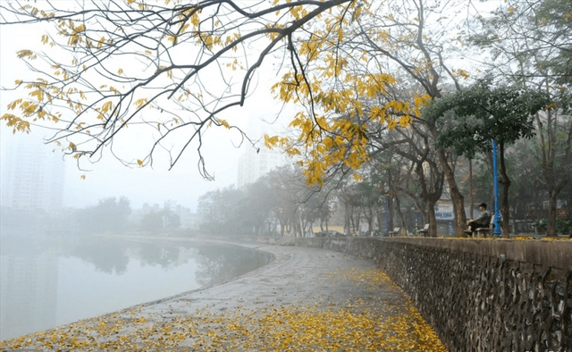 Thời tiết hôm nay (19-1): Không khí lạnh tăng cường, cảnh báo rét hại, băng giá