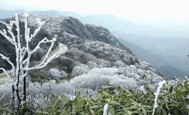 Thời tiết hôm nay (20-1): Miền Bắc có mưa phùn, sắp chuyển rét đậm