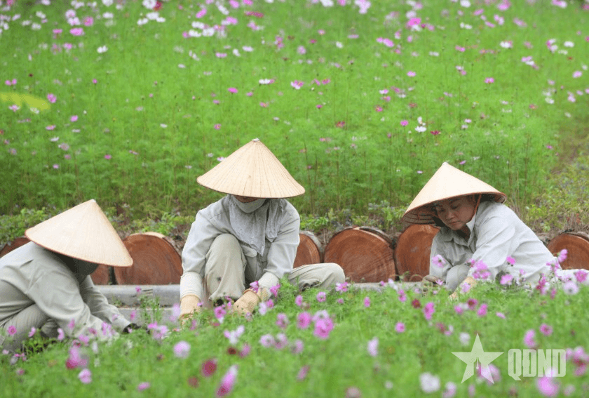 Không gian công viên xanh, sạch, đẹp