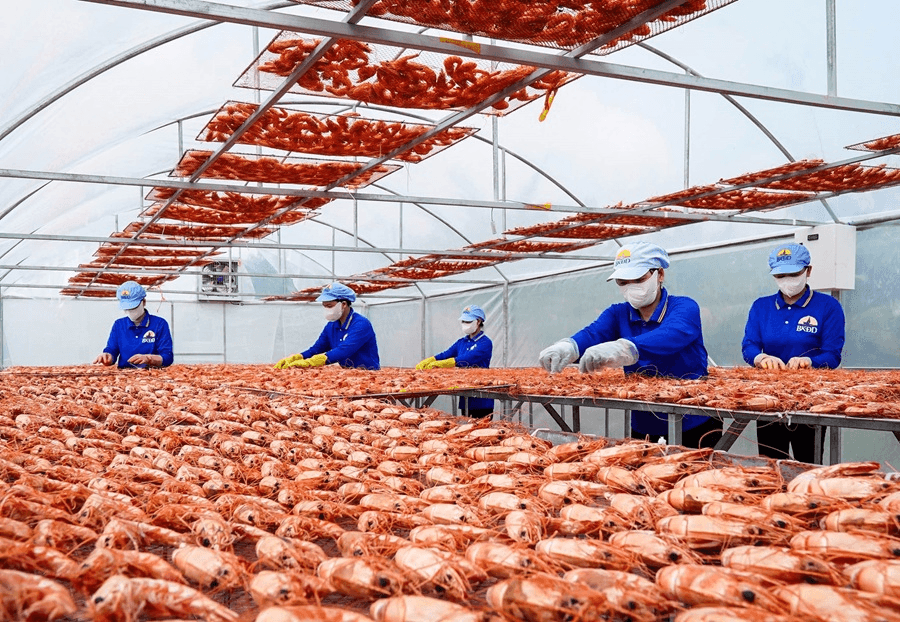 Quyết tâm hiện thực hóa mục tiêu phát triển đất nước