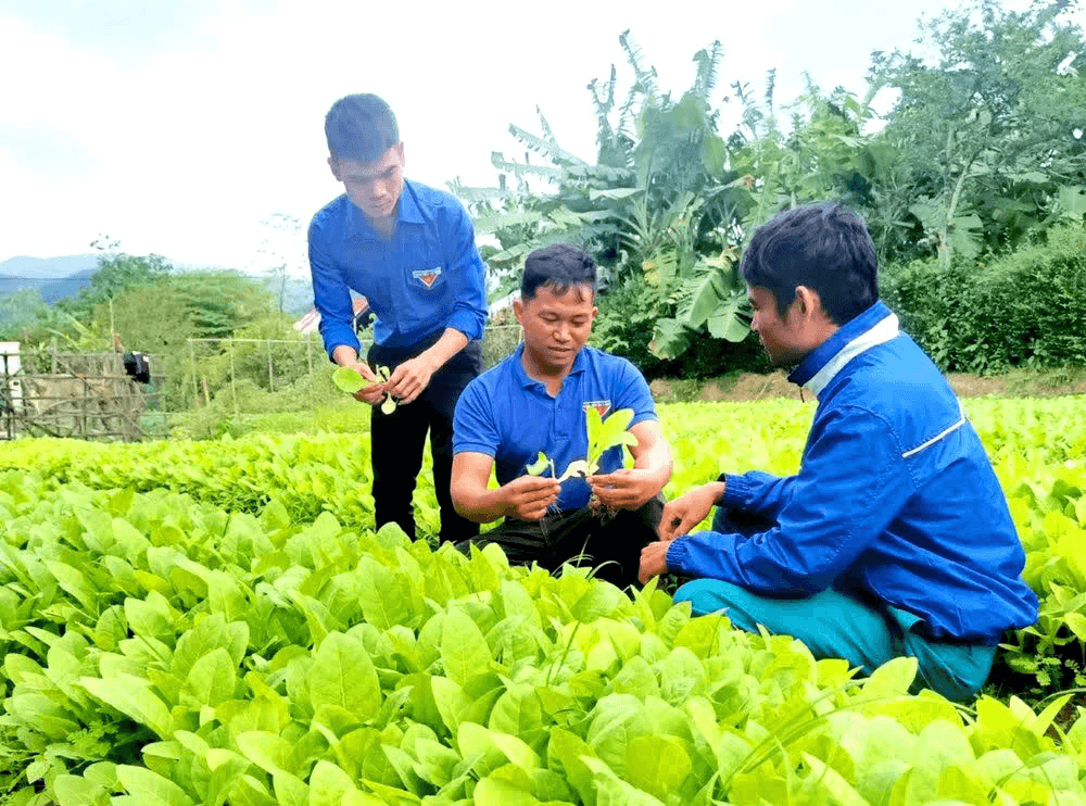 Làm giàu từ nông nghiệp, lan tỏa tinh thần cống hiến