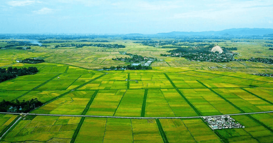Sửa đổi, bổ sung quy định về phân cấp, phân quyền, phân định thẩm quyền trong lĩnh vực đất đai
