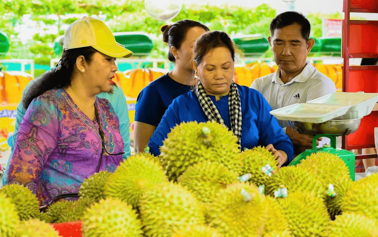 Đa dạng kênh bán hàng, chú trọng chất lượng, bình ổn giá