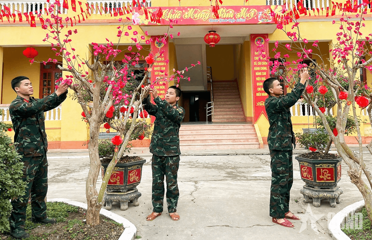 Sẽ nghiên cứu thí điểm trong phạm vi hẹp trước