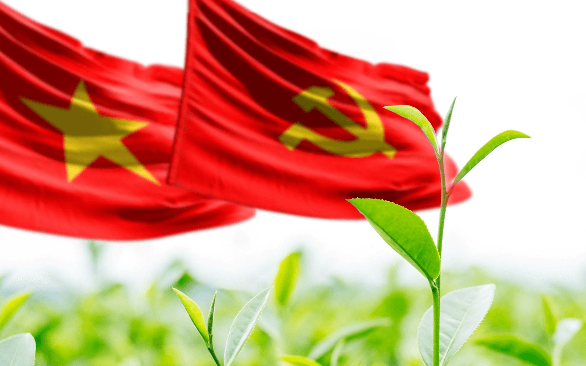 Quy định mới của Bộ Chính trị về chế độ đảng phí