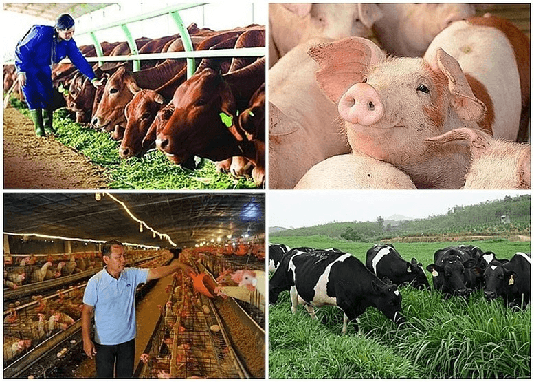 Chính sách mới: Siết chặt kiểm dịch động vật trên cạn