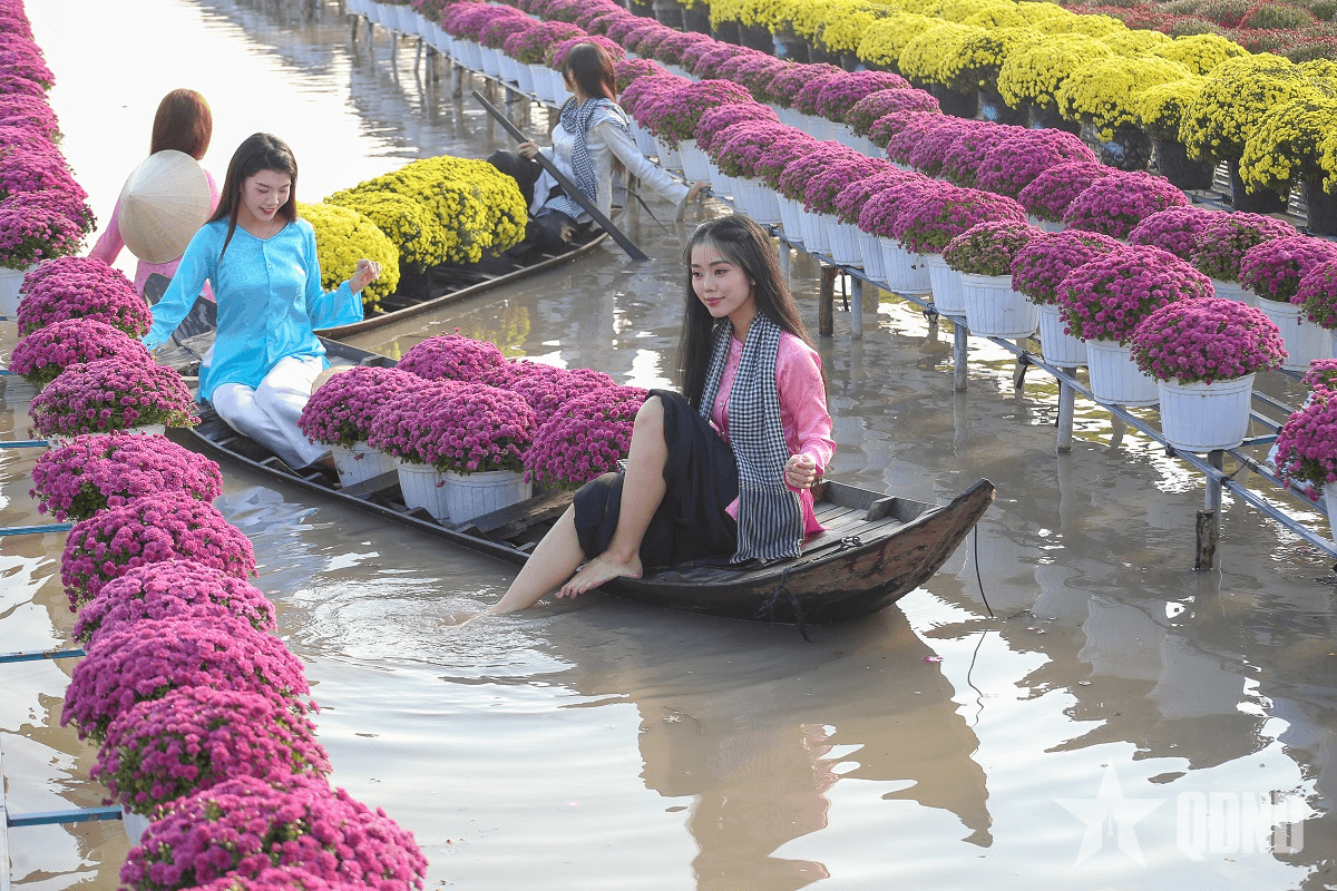 Ống kính bạn đọc: Sa Đéc rực rỡ sắc xuân