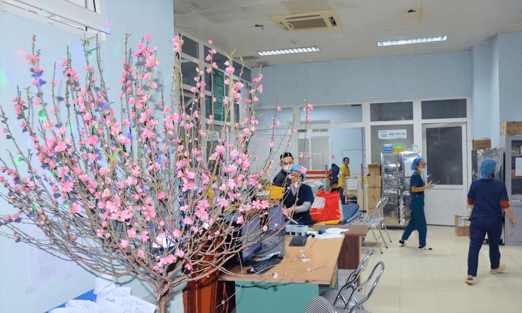 Hà Nội tăng cường công tác khám, chữa bệnh dịp Tết Nguyên đán