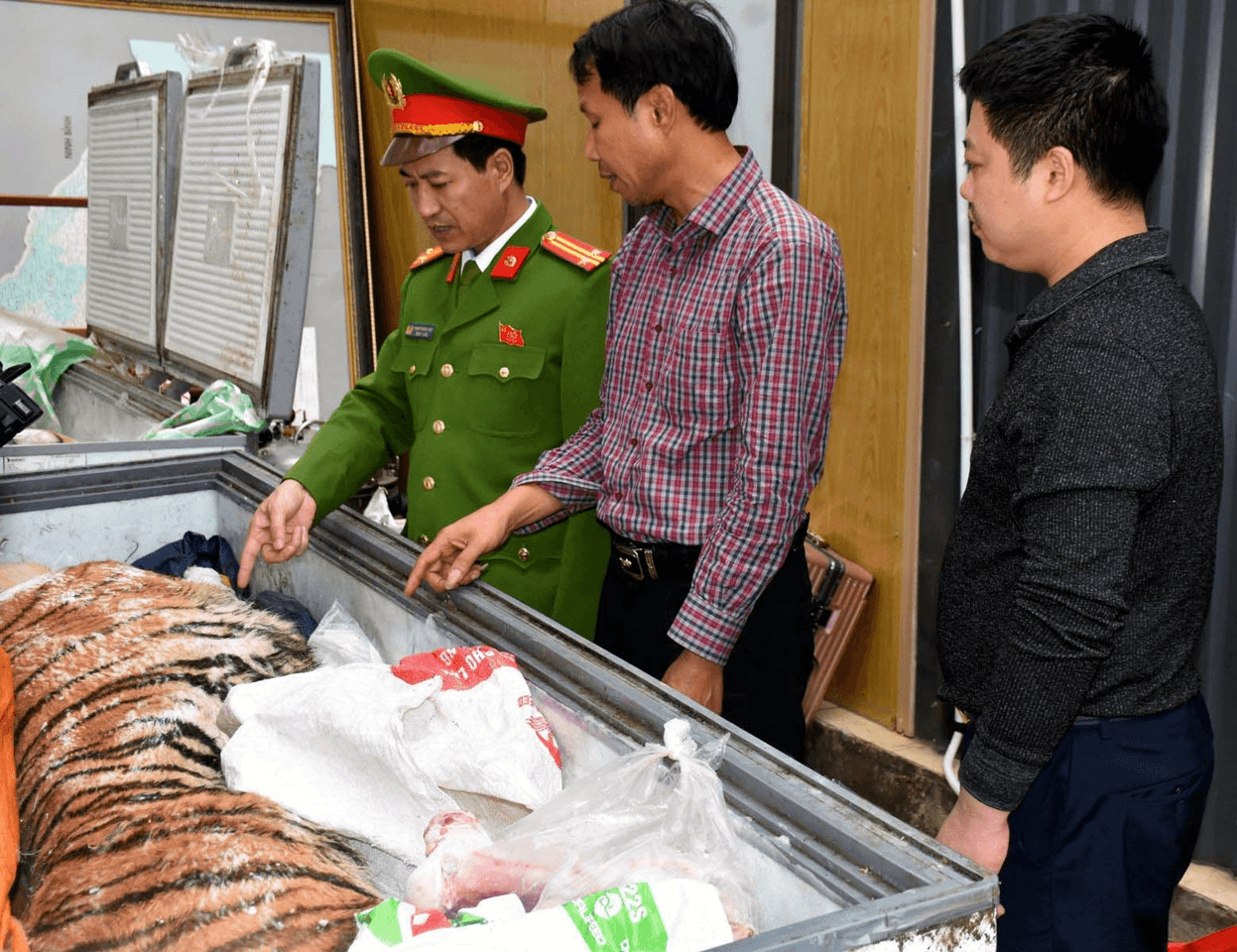 Thanh Hóa triệt phá đường dây mua bán, nấu cao hổ