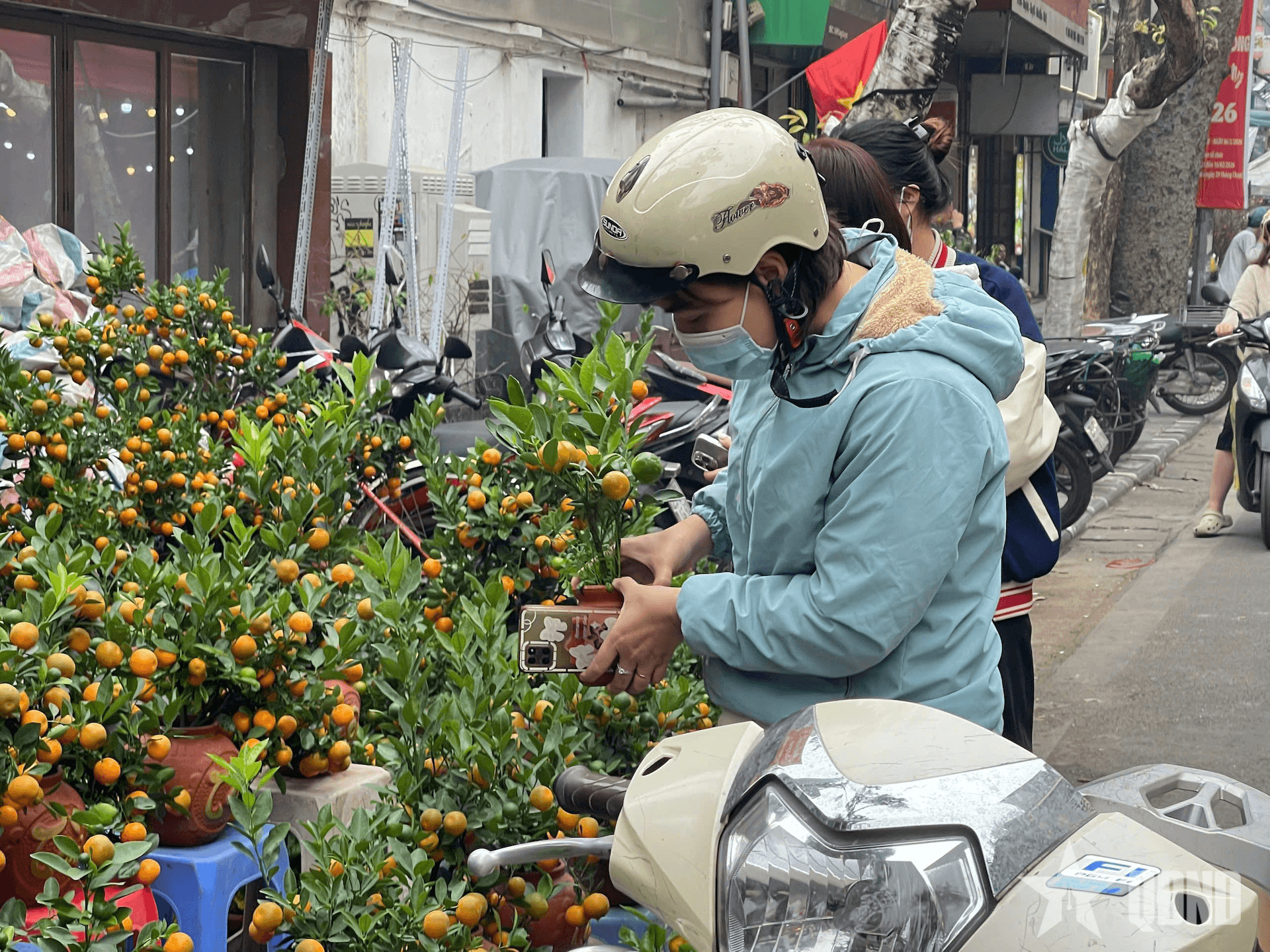 Cảm nhận vị Tết Hà thành