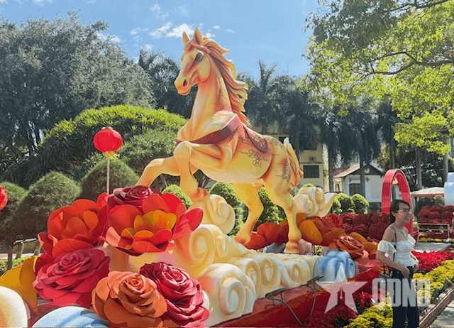 Buôn Ma Thuột rực rỡ sắc Xuân