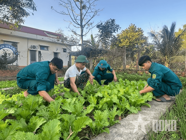 Tết này "Bộ đội Ia Rvê" tỉnh Đắk Lắk đã tự túc được rau xanh