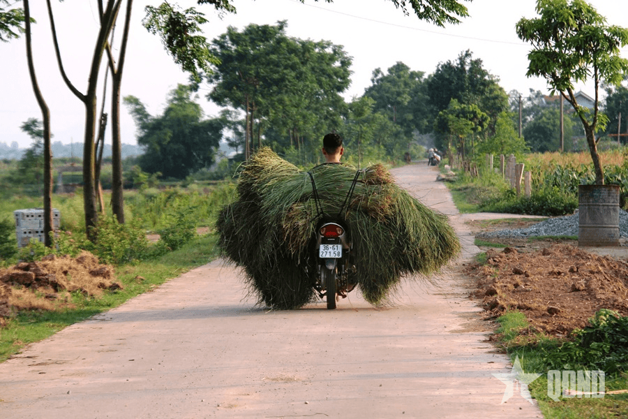 Bước chân lính trẻ trong gió xuân năm cũ Tết xưa